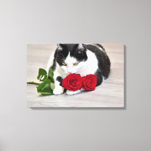 Toile Joli chat avec la rose rouge (Recto)
