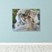 Toile Joli chaton persan (Insitu (Plancher de Bois))