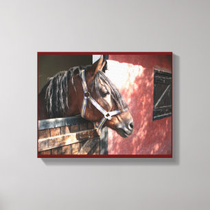 Toile Joli Cheval de Baie dans un soleil stable