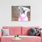 Toile Joli Chien Blanc Avec Des Yeux Souloureux En Rose (Insitu(Salon))