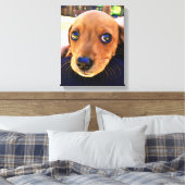 Toile Joli chien chiot Brown Dachshund (Insitu(Chambre))