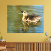 Toile Joli gosling sur étang (Insitu(Salon))