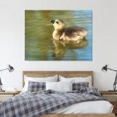 Toile Joli gosling sur étang (Insitu(Chambre))