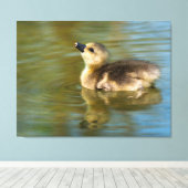 Toile Joli gosling sur étang (Insitu (Plancher de Bois))