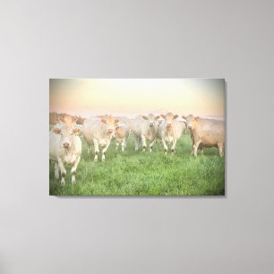 Toile Joli Pastel Charolais Cattle in Pastel