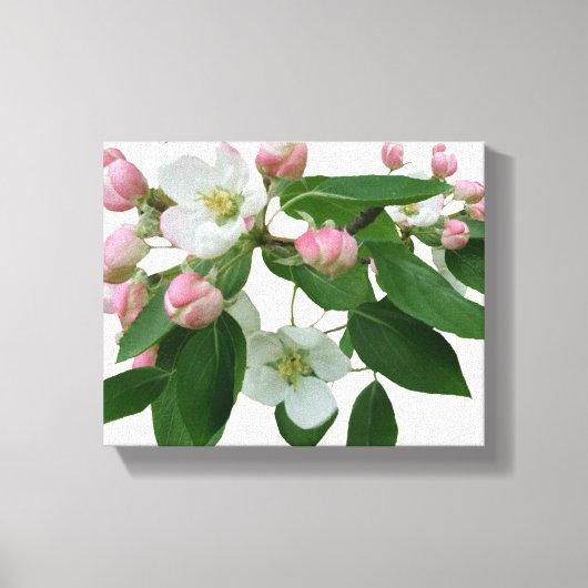 Toile Joli rose cerisier fleurie belle moderne (Recto)