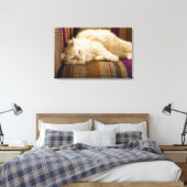 Toile Joli tabi chat jaune allongé sur un canapé. (Insitu(Chambre))