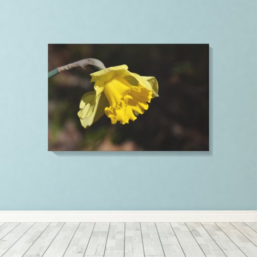 Toile Jolie Daffodile Jaune 24,00 po x 16,00 po (Insitu (Plancher de Bois))