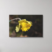 Toile Jolie Daffodile Jaune 24,00 po x 16,00 po (Recto)