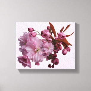 Toile Jolie fleur de cerisier rose simple belle floraiso
