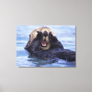 Toile Jolie loutre de mer Alaska, États-Unis
