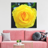 Toile Jolie photo de fleurs de rose jaune. (Insitu(Salon))