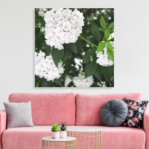 Toile Jolies fleurs blanches de laurier de montagne