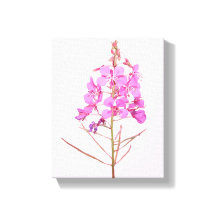 Jolies fleurs roses, botanique florale moderne sim