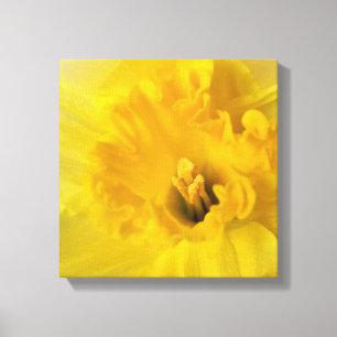 Toile jonquille jaune