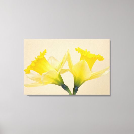 Toile Jonquilles jaunes (Recto)
