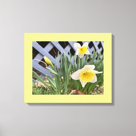 Toile Jonquilles Jaunes #2 (Recto)