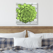 Toile Jonus le Jovibarba heuffelii (Insitu(Chambre))