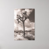 Toile Joshua Tree (Recto)