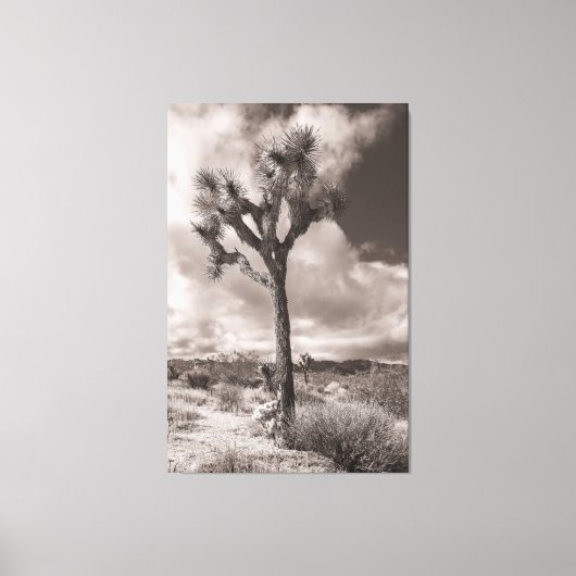Toile Joshua Tree (Recto)