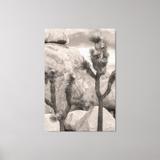 Toile Joshua Trees (Recto)