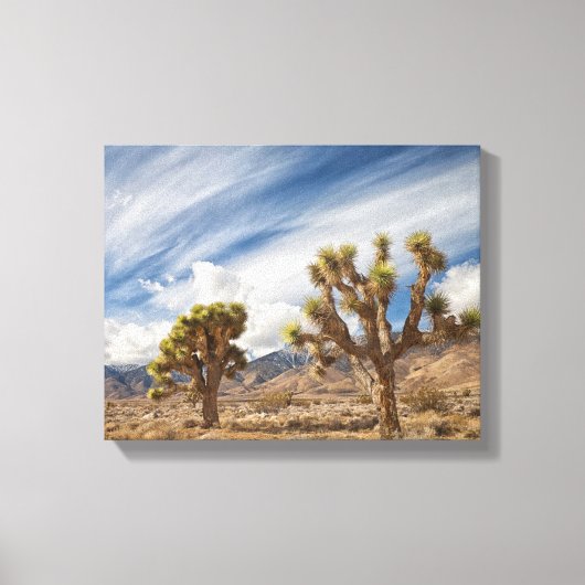Toile Joshua Trees dans le désert (Recto)