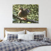 Toile Joyeux canard (Insitu(Chambre))