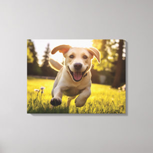Toile Joyeux Labrador Puppy Running