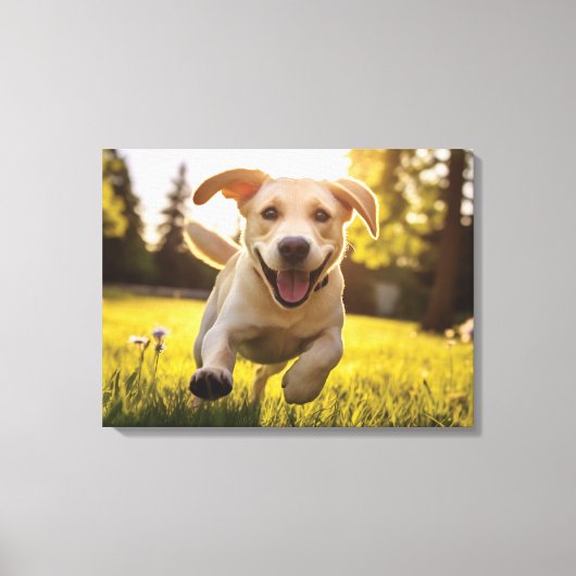 Toile Joyeux Labrador Puppy Running (Recto)