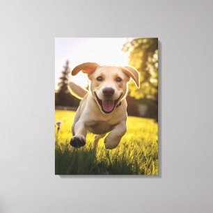 Toile Joyeux Labrador Puppy Running