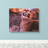 Toile Joyeux Tau (Insitu (Plancher de Bois))