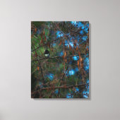 Toile Junco (Recto)
