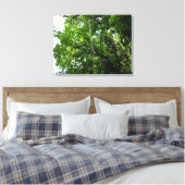 Toile Jungle Ropes Rainforest Photographie (Insitu(Chambre))