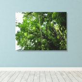 Toile Jungle Ropes Rainforest Photographie (Insitu (Plancher de Bois))