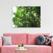 Toile Jungle Ropes Rainforest Photographie (Insitu(Salon))