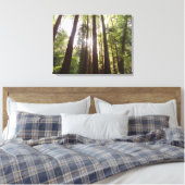 Toile Jusqu'aux Séquoias le Matin (Insitu(Chambre))