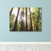 Toile Jusqu'aux Séquoias le Matin (Insitu (Plancher de Bois))