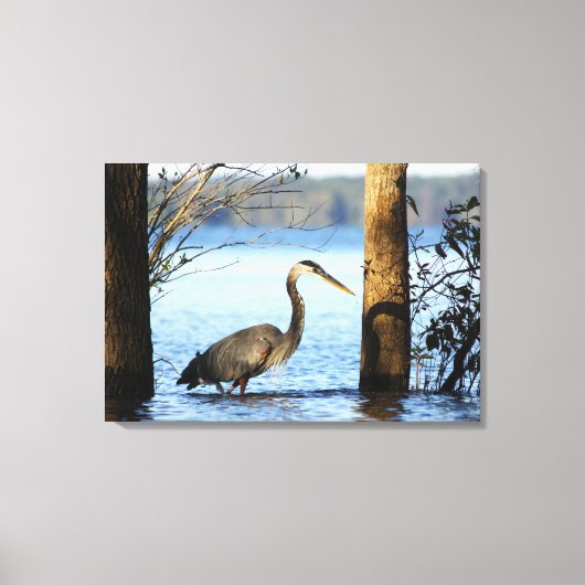 Toile Juste manqué - Kerr Lake (Recto)