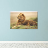 Toile Kenya, Masai Mara | Lion mâle (Insitu (Plancher de Bois))