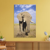Toile Kenya : Parc national d'Amboseli, éléphant mâle (Insitu(Salon))