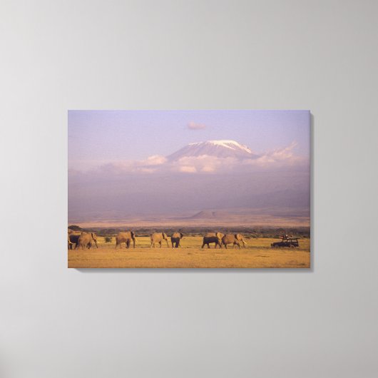 Toile Kenya : Parc national d'Amboseli, Eléphants (Recto)