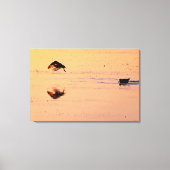 Toile Key West Birds Flying Sunset Florida Keys (Recto)