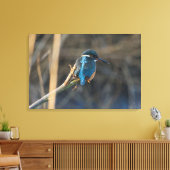 Toile Kingfisher (Insitu(Salon))