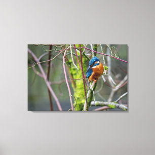 Toile Kingfisher