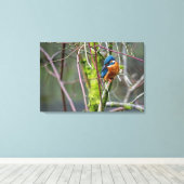 Toile Kingfisher (Insitu (Plancher de Bois))