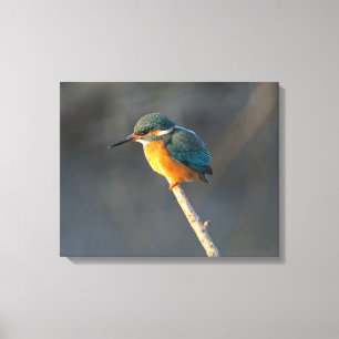 Toile Kingfisher