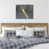 Toile Kingfisher (Insitu(Chambre))
