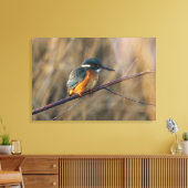 Toile Kingfisher (Insitu(Salon))