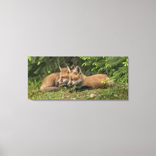 Toile Kit Fox Pals (Recto)