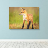 Toile Kit Red Fox (Insitu (Plancher de Bois))